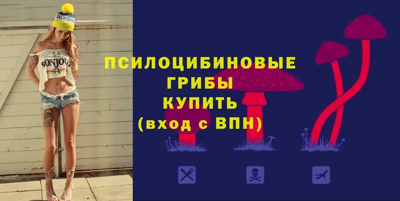 Псилоцибиновые грибы мицелий  Солигалич 